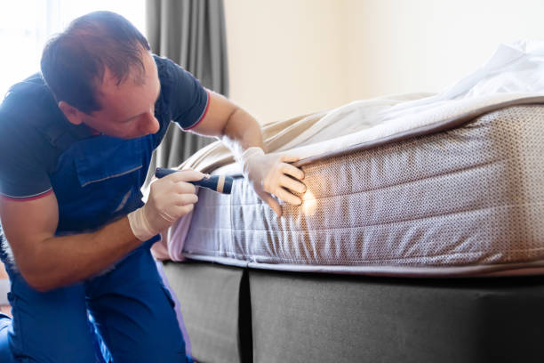 Best Fumigation Services  in Highlands, CA